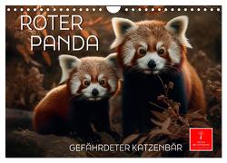 Roter Panda – gefährdeter Katzenbär (Wandkalender 2024 DIN A4 quer), CALVENDO Monatskalender von Roder,  Peter