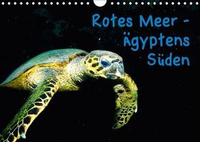 Rotes Meer – Ägyptens Süden (Wandkalender 2018 DIN A4 quer) von Suttrop,  Christian