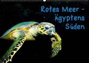 Rotes Meer – Ägyptens Süden (Wandkalender 2019 DIN A2 quer) von Suttrop,  Christian