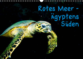 Rotes Meer – Ägyptens Süden (Wandkalender 2023 DIN A3 quer) von Suttrop,  Christian