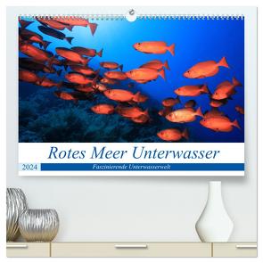 Rotes Meer Unterwasser (hochwertiger Premium Wandkalender 2024 DIN A2 quer), Kunstdruck in Hochglanz von Hablützel,  Martin