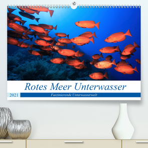Rotes Meer Unterwasser (Premium, hochwertiger DIN A2 Wandkalender 2021, Kunstdruck in Hochglanz) von Hablützel,  Martin