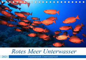 Rotes Meer Unterwasser (Tischkalender 2021 DIN A5 quer) von Hablützel,  Martin