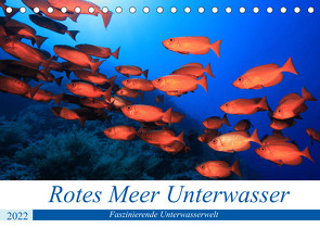 Rotes Meer Unterwasser (Tischkalender 2022 DIN A5 quer) von Hablützel,  Martin