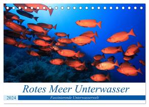 Rotes Meer Unterwasser (Tischkalender 2024 DIN A5 quer), CALVENDO Monatskalender von Hablützel,  Martin