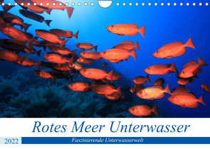 Rotes Meer Unterwasser (Wandkalender 2022 DIN A4 quer) von Hablützel,  Martin
