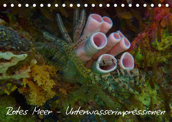 Rotes Meer – Unterwasserimpressionen (Tischkalender 2023 DIN A5 quer) von Eberschulz,  Lars