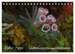 Rotes Meer – Unterwasserimpressionen (Tischkalender 2024 DIN A5 quer), CALVENDO Monatskalender von Eberschulz,  Lars