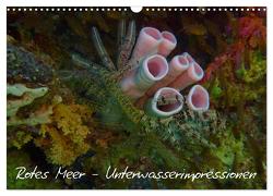 Rotes Meer – Unterwasserimpressionen (Wandkalender 2024 DIN A3 quer), CALVENDO Monatskalender von Eberschulz,  Lars
