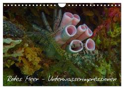 Rotes Meer – Unterwasserimpressionen (Wandkalender 2024 DIN A4 quer), CALVENDO Monatskalender von Eberschulz,  Lars