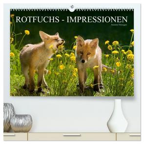 Rotfuchs – Impressionen (hochwertiger Premium Wandkalender 2024 DIN A2 quer), Kunstdruck in Hochglanz von Danegger,  Susanne