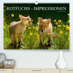 Rotfuchs – Impressionen (Premium, hochwertiger DIN A2 Wandkalender 2023, Kunstdruck in Hochglanz) von Danegger,  Susanne
