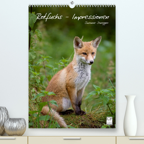 Rotfuchs – Impressionen (Premium, hochwertiger DIN A2 Wandkalender 2023, Kunstdruck in Hochglanz) von Danegger,  Susanne