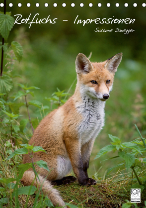 Rotfuchs – Impressionen (Tischkalender 2020 DIN A5 hoch) von Danegger,  Susanne