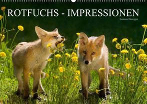 Rotfuchs – Impressionen (Wandkalender 2023 DIN A2 quer) von Danegger,  Susanne