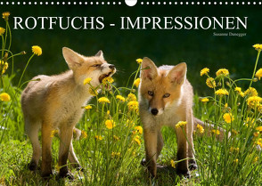 Rotfuchs – Impressionen (Wandkalender 2023 DIN A3 quer) von Danegger,  Susanne
