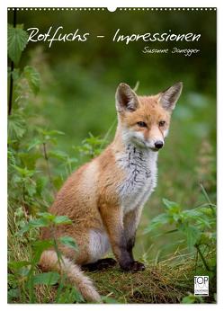 Rotfuchs – Impressionen (Wandkalender 2024 DIN A2 hoch), CALVENDO Monatskalender von Danegger,  Susanne