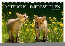 Rotfuchs – Impressionen (Wandkalender 2024 DIN A3 quer), CALVENDO Monatskalender von Danegger,  Susanne