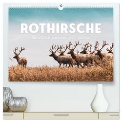 Rothirsche – Die imposanten Könige der Wälder. (hochwertiger Premium Wandkalender 2024 DIN A2 quer), Kunstdruck in Hochglanz von SF,  SF