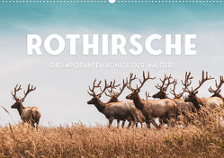 Rothirsche – Die imposanten Könige der Wälder. (Wandkalender 2023 DIN A2 quer) von SF