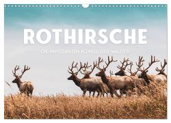 Rothirsche – Die imposanten Könige der Wälder. (Wandkalender 2024 DIN A3 quer), CALVENDO Monatskalender von SF,  SF