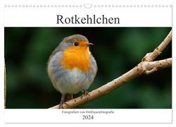 Rotkehlchen – Fotografiert von Ostfriesenfotografie (Wandkalender 2024 DIN A3 quer), CALVENDO Monatskalender von Betten - Ostfriesenfotografie,  Christina