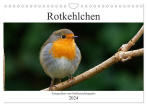 Rotkehlchen – Fotografiert von Ostfriesenfotografie (Wandkalender 2024 DIN A4 quer), CALVENDO Monatskalender von Betten - Ostfriesenfotografie,  Christina