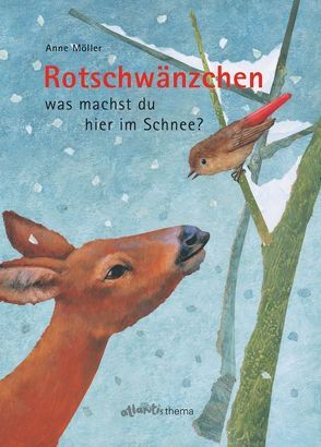 Rotschwänzchen – was machst du hier im Schnee? von Möller,  Anne