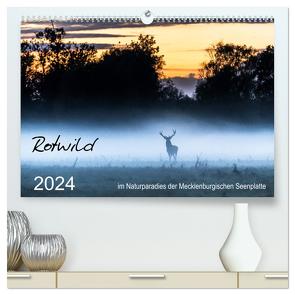 Rotwild – im Naturparadies der Mecklenburgischen Seenplatte (hochwertiger Premium Wandkalender 2024 DIN A2 quer), Kunstdruck in Hochglanz von Pretzel - FotoPretzel,  André