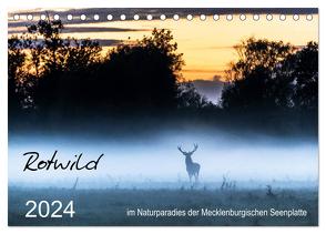 Rotwild – im Naturparadies der Mecklenburgischen Seenplatte (Tischkalender 2024 DIN A5 quer), CALVENDO Monatskalender von Pretzel - FotoPretzel,  André