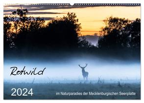 Rotwild – im Naturparadies der Mecklenburgischen Seenplatte (Wandkalender 2024 DIN A2 quer), CALVENDO Monatskalender von Pretzel - FotoPretzel,  André