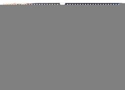 Rotwild – im Naturparadies der Mecklenburgischen Seenplatte (Wandkalender 2024 DIN A3 quer), CALVENDO Monatskalender von Pretzel - FotoPretzel,  André