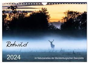 Rotwild – im Naturparadies der Mecklenburgischen Seenplatte (Wandkalender 2024 DIN A4 quer), CALVENDO Monatskalender von Pretzel - FotoPretzel,  André