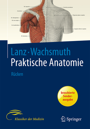 Rücken von Landolt,  A.M., Rickenbacher,  J., Theiler,  K.
