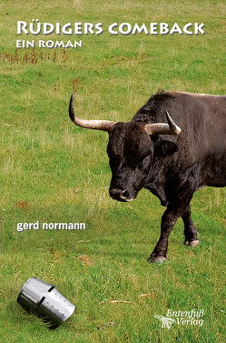 Rüdigers Comeback von Normann,  Gerd