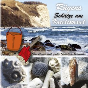 Rügens Schätze am Kreidestrand – für kleine und große Fossiliensammler von Welt,  Ohmuthis