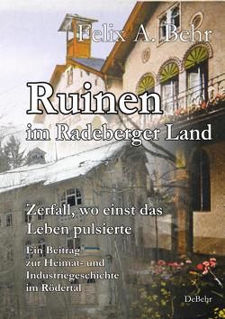 Ruinen im Radeberger Land – Zerfall, wo einst das Leben pulsierte – Ein Beitrag zur Heimat- und Industriegeschichte im Rödertal von Behr,  Felix A.