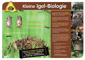 Rund um Igel, Igelschutz und Igelhilfe von Neumeier,  Monika, Seewald,  Ulli