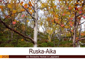 Ruska-Aika – der finnische Herbst in Lappland (Tischkalender 2020 DIN A5 quer) von Puschkeit,  Jaana