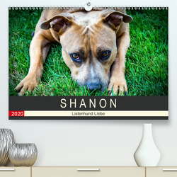 S H A N O N – Listenhund Liebe (Premium, hochwertiger DIN A2 Wandkalender 2020, Kunstdruck in Hochglanz) von Lichtwerfer