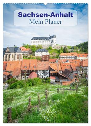 Sachsen-Anhalt – Mein Planer (Wandkalender 2024 DIN A2 hoch), CALVENDO Monatskalender von Wasilewski,  Martin