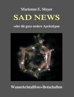 Sad News oder die ganz andere Apokalypse von Meyer,  Marianne