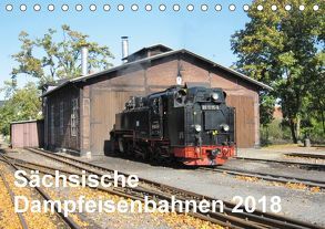 Sächsische Dampfeisenbahnen 2018 (Tischkalender 2018 DIN A5 quer) von Pfetzing,  Markus