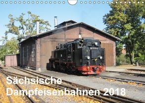 Sächsische Dampfeisenbahnen 2018 (Wandkalender 2018 DIN A4 quer) von Pfetzing,  Markus