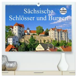 Sächsische Schlösser und Burgen (hochwertiger Premium Wandkalender 2024 DIN A2 quer), Kunstdruck in Hochglanz von LianeM,  LianeM