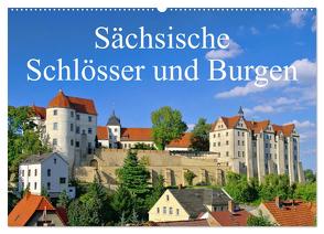 Sächsische Schlösser und Burgen (Wandkalender 2024 DIN A2 quer), CALVENDO Monatskalender von LianeM,  LianeM