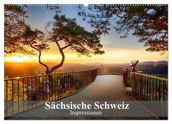Sächsische Schweiz – Impressionen (Wandkalender 2024 DIN A2 quer), CALVENDO Monatskalender von Meutzner,  Dirk