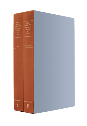 Sämtliche Werke Band XIII (in zwei Teilbänden): Erzählungen 1 von Borchardt,  Rudolf, Schuster,  Gerhard