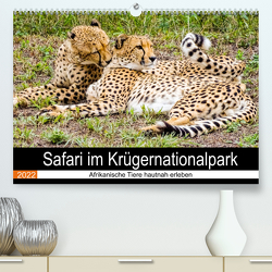 Safari im Krügernationalpark (Premium, hochwertiger DIN A2 Wandkalender 2022, Kunstdruck in Hochglanz) von Kärcher,  Linde