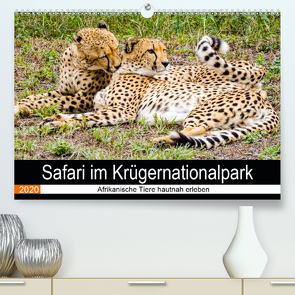 Safari im Krügernationalpark (Premium, hochwertiger DIN A2 Wandkalender 2020, Kunstdruck in Hochglanz) von Kärcher,  Linde